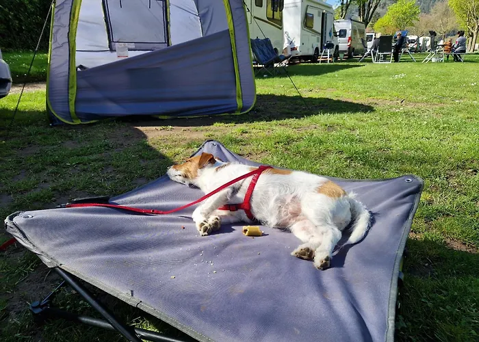 Camping Neckargemuend Bei Heidelberg