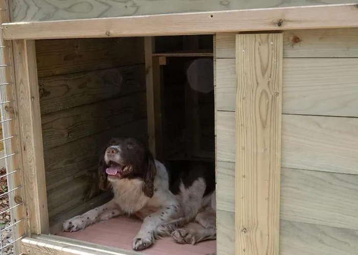 Anzio Heights Shepherd Huts