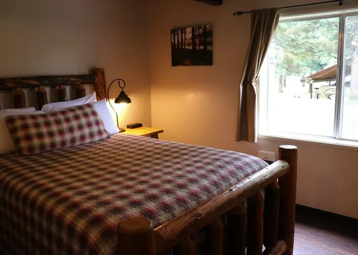 Lone Fir Resort Cougar