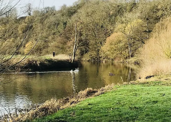 Avon Riverside Glamping