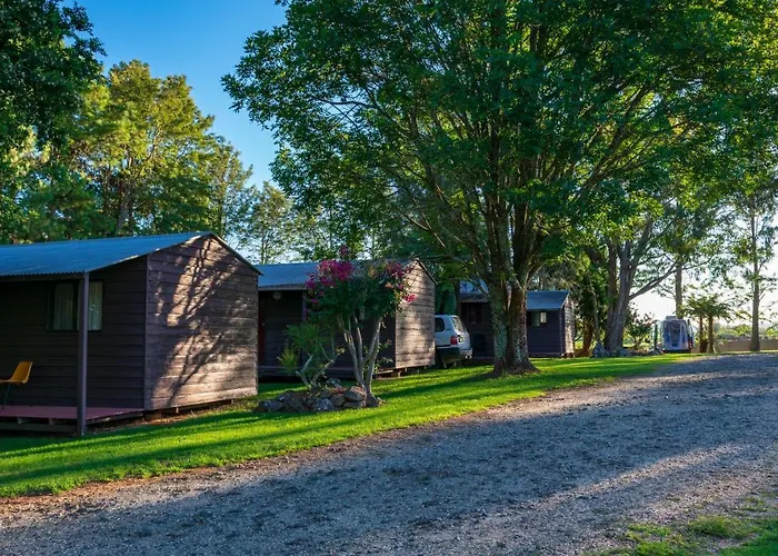 Dorrigo Mountain Holiday Park